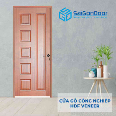 Thi công cửa gỗ HDF Veneer Sài Gòn Door tại Bình Định